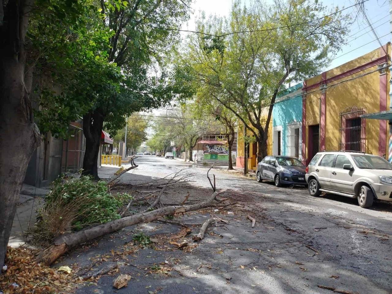 Mantiene alerta Protección Civil por fuertes vientos