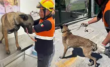 ¡Vaya rescate! Salvan a perrito de morir en incendio en Escobedo ¡Vaya rescate! Salvan a perrito de morir en incendio en Escobedo
