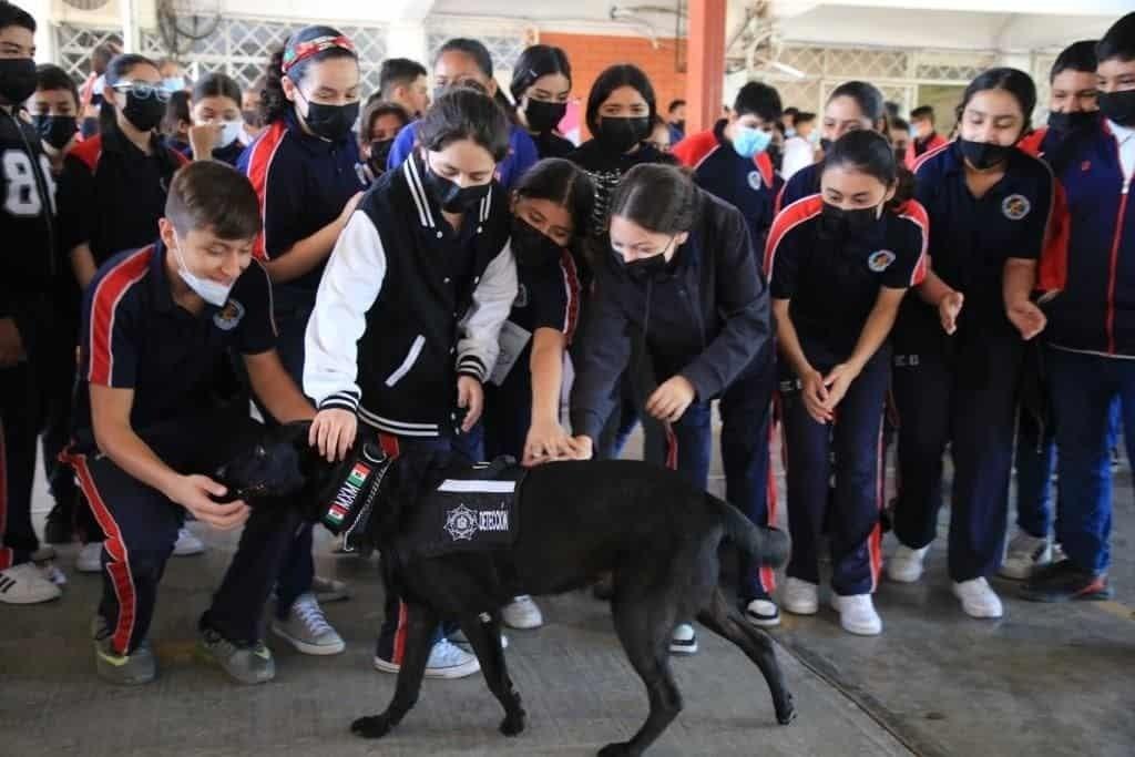 Aplica Guadalupe “Plan Control” contra violencia