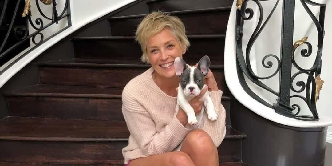 Revela Sharon Stone que sufrió nueve abortos espontáneos