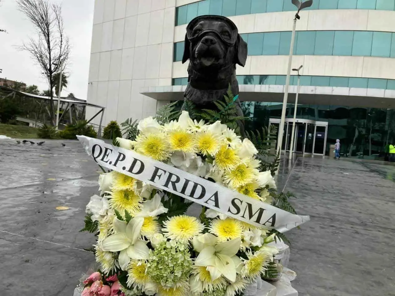 Recuerdan en Nuevo León a Frida, la perrita rescatista