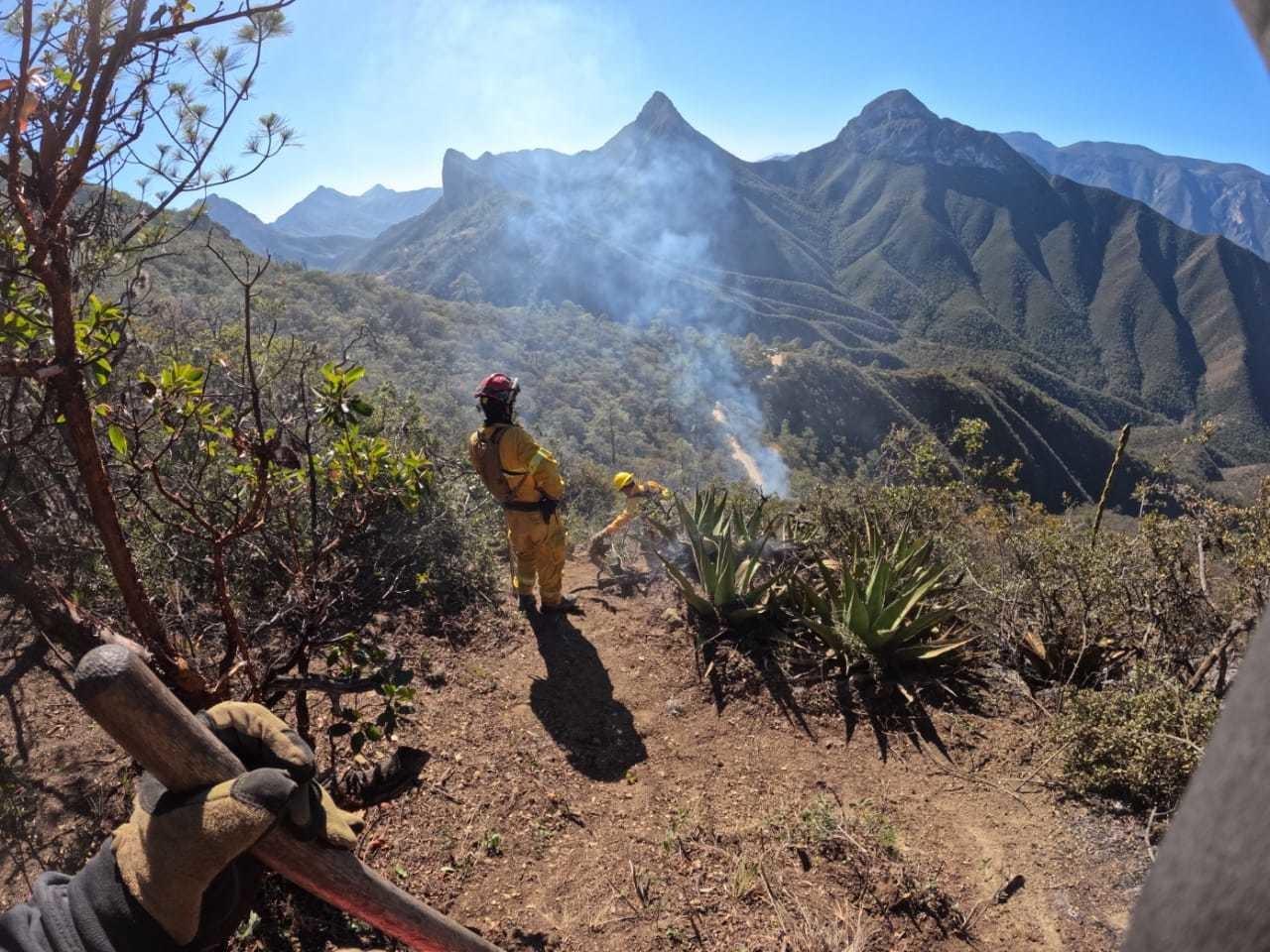 David de la Peña confirma que fue controlado incendio en el Mirador El Hondable