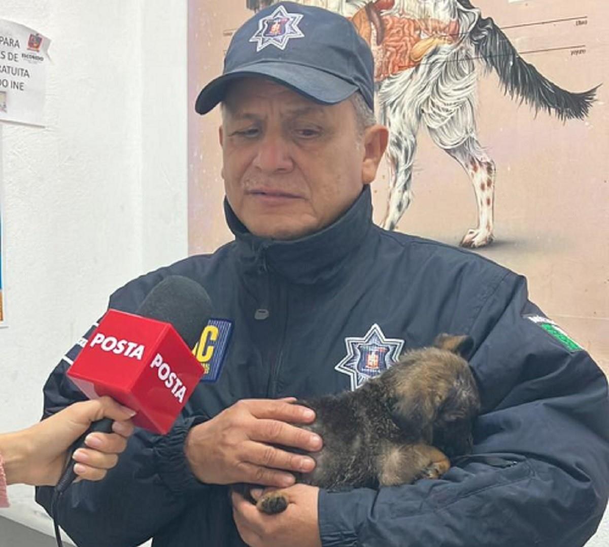 El policía de Escobedo, Juan Gutiérrez, puso el nombre de Proteo al perrito en honor al lomito que ayudó al rescate de víctimas tras el terremoto de Turquía. Foto: Cynthia Pardo