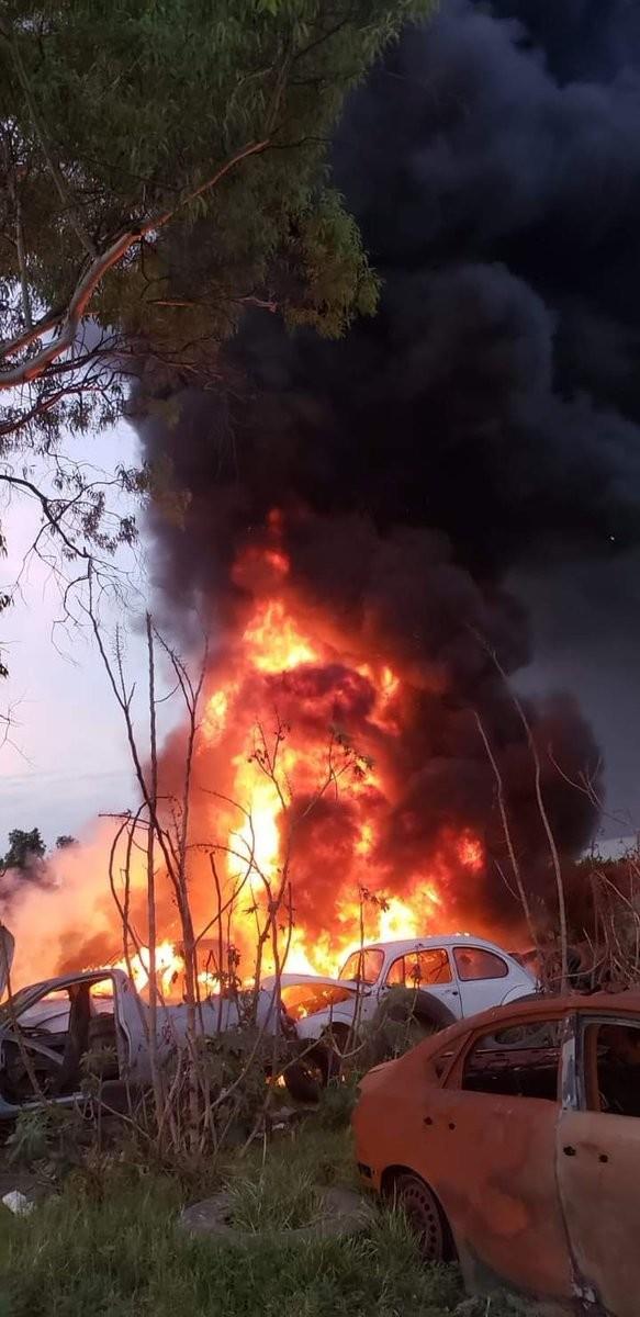 El Congreso de Edomex analiza la iniciativa de ley para tipificar como delito el ecocidio y catigarlo hasta con 17 años de cárcel. Foto: Cortesía