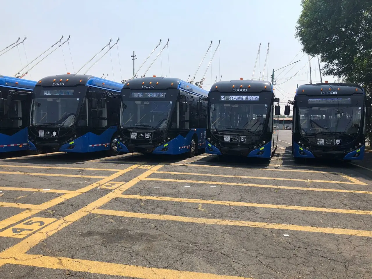 Presentan nuevos trolebuses con servicio de alto nivel en la CDMX. Foto: Miguel Hernández