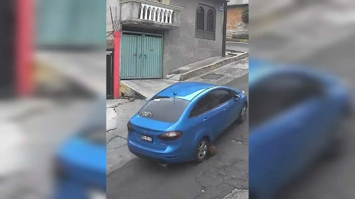 Autoridades de Atizapán buscan al conductor de un atomóvil azul y que atropelló con alevosía a una perrita que estaba a media calle en la colonia Las Águilas. Foto: Captura de pantalla