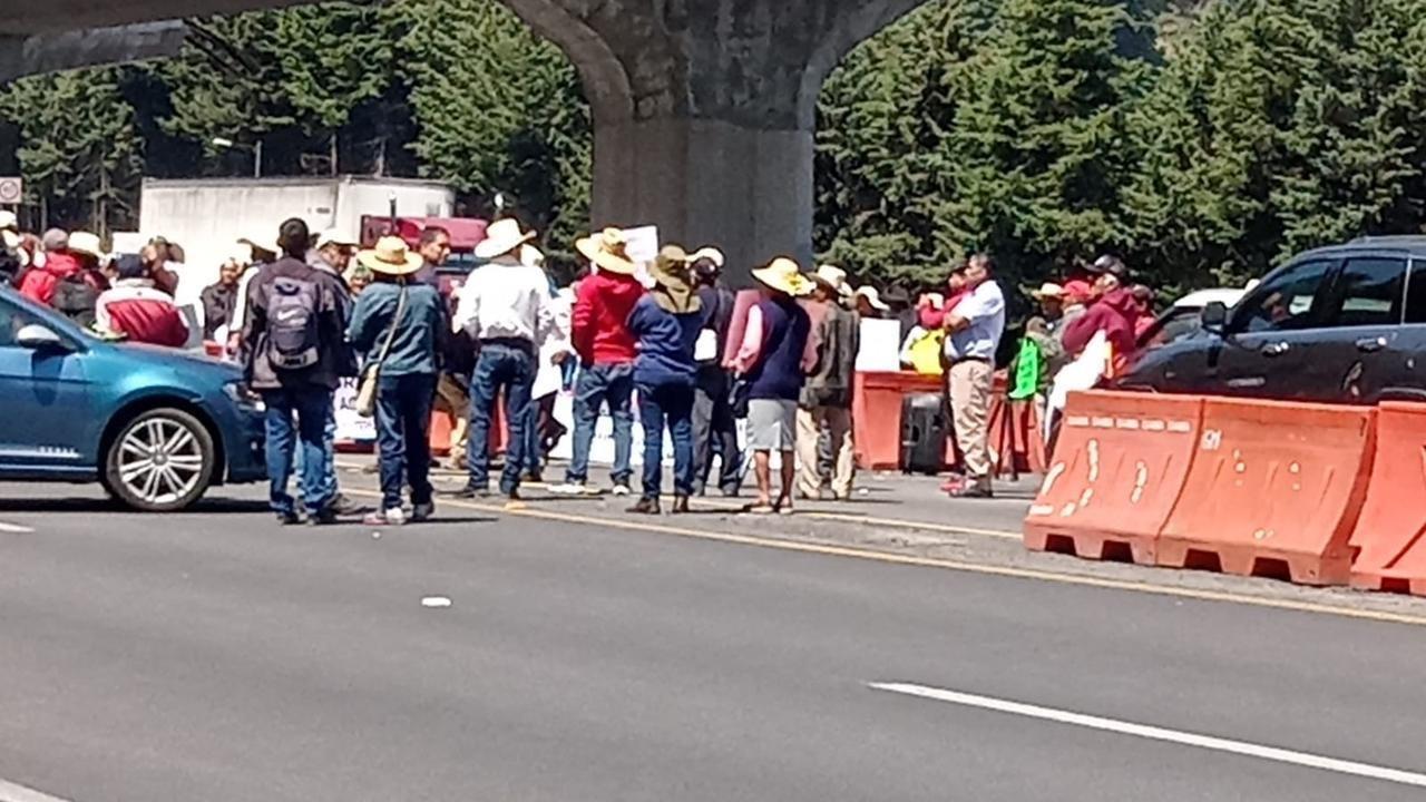 Los comuneros pedirán a las autoridades de Semarnat y Profepa detener la tala ilegal de árboles. Foto: Especial.