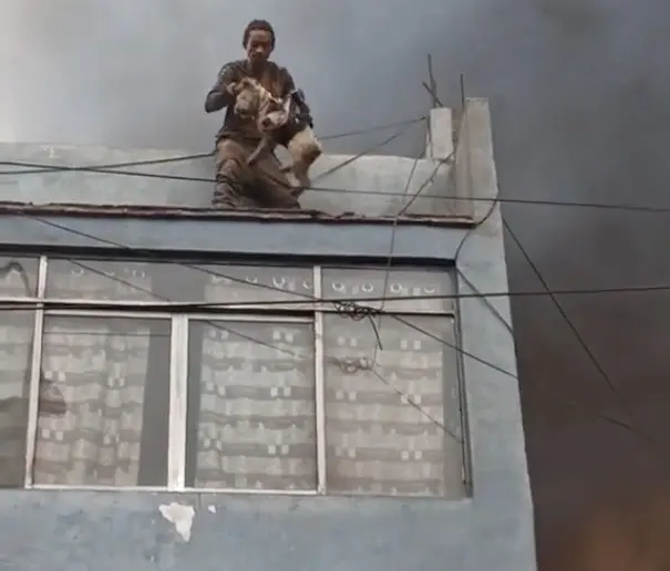 El protagonista de esta historia es Sebastián Arias, quien actuó de manera intempestiva para convertirse en un héroe tras el incendio de una fábrica de reciclaje. Foto: TikTok miguel_v.g