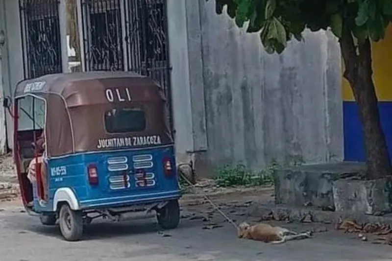 Según las autoridades el mototaxista es de la organización OLI de Juchitán y dejó de arrastrar al perro solo hasta que otra conductora de mototaxi le cerró el paso. Foto: Facebook 60 minutos. INFO.