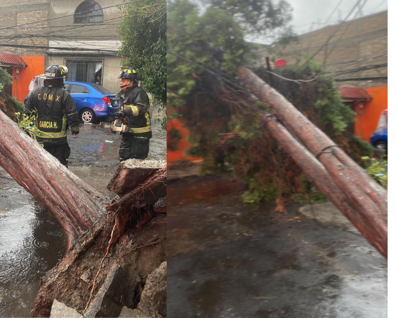 Cae árbol en Azcapotzalco y derriba cableado de luz. Foto: Ramón Ramírez