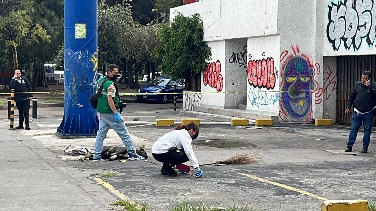 Retiro tardío,  Zeus, el perro héroe asesinado. Foto: Ramó  Ramírez