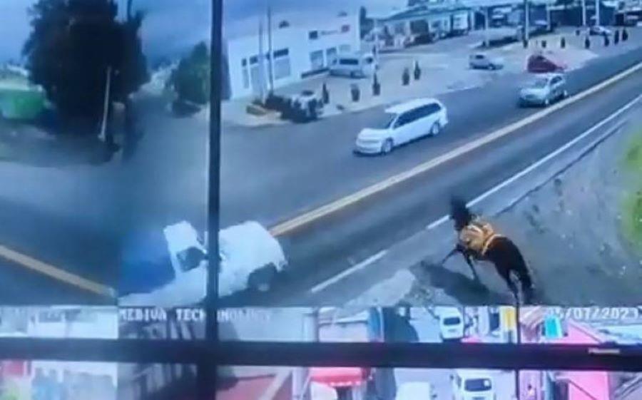 Muere caballo, tras ser impactado por un camioneta en una carretera de Ozumba; el equino salió desbocado. Foto: Captura de pantalla