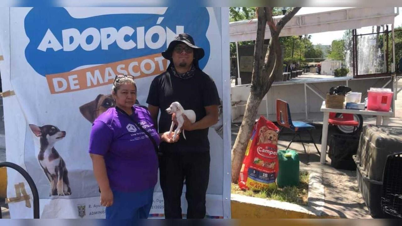 Adopción de Mascotas una campaña que promueve la adopción de perritos en Gómez Palacio. Foto: Facebook/ @Ayuntamiento de Gómez Palacio.