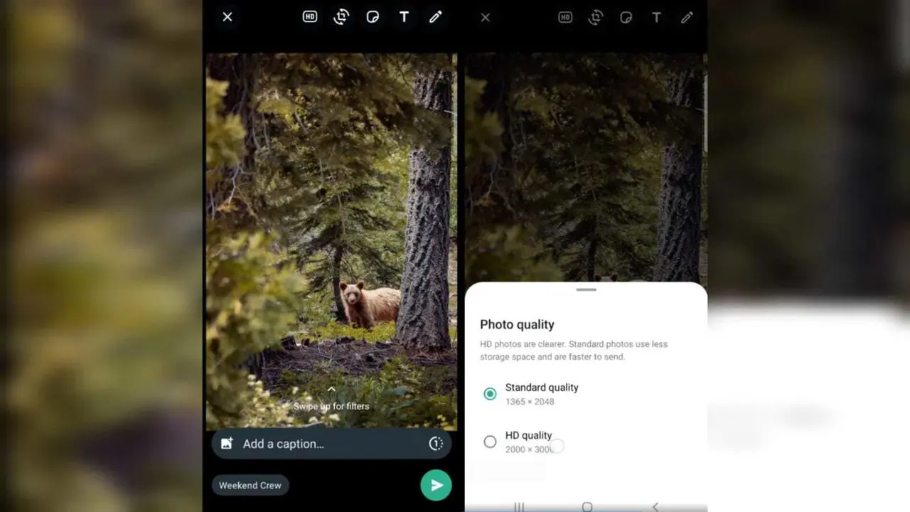 Al enviar una fotografía en WhatsApp, aparecerá una nueva opción marcada como HD en la parte superior de la imagen. Al pulsarla, se podrá elegir la calidad con la que se enviará la imagen al destinatario o grupo. Foto: Especial/ Captura de pantalla