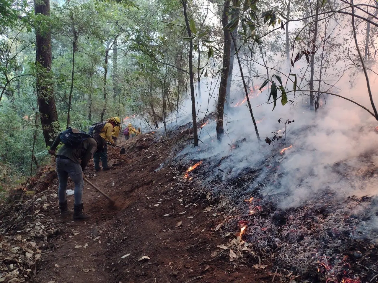 En Edomex ocurrieron 971 incendios forestales en lo que va de 2023, con 21 mil 204.25 hectáreas de bosque afectada, según CONAFOR. Foto: Gobierno de Edomex