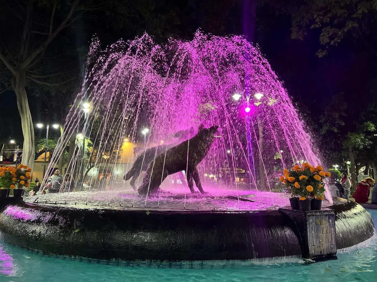 De color rosa se iluminaron lugares emblemáticos de la demarcación. Foto: @Alcaldia_Coy