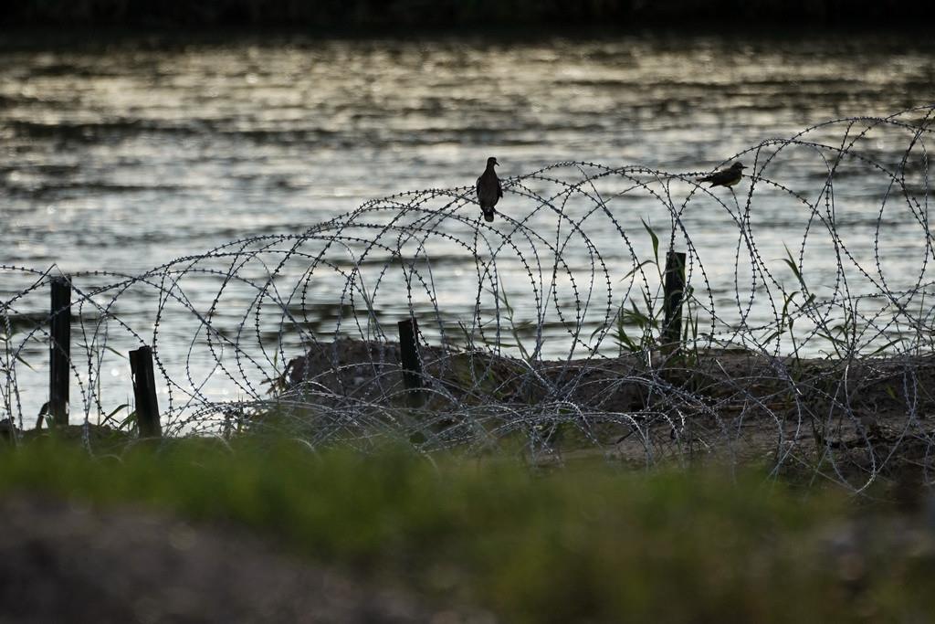 Aves descansan sobre alambre de púas colocado a lo largo del río Grande, también conocido como Bravo, el 6 de julio de 2023, en Eagle Pass, Texas. (AP Foto/Eric Gay, Archivo)