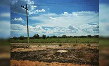 Productores agrícolas no recuperarán el recurso que invirtieron en sus cosechas Productores agrícolas no recuperarán el recurso que invirtieron en sus cosechas