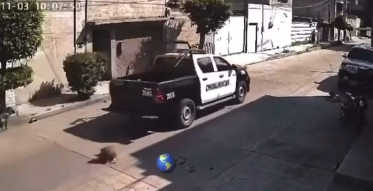 La patrulla 2006 de la policía de Chimalhucan pasó por encima de un perrito y huyó del lugar. Foto: Captura de pantalla