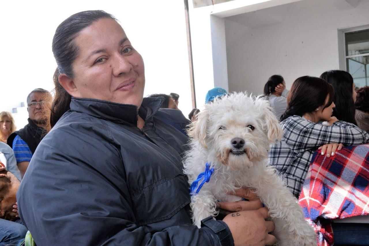 Jornadas de Esterilización Canina y Felina gratuitas. Imagen: Cortesía.