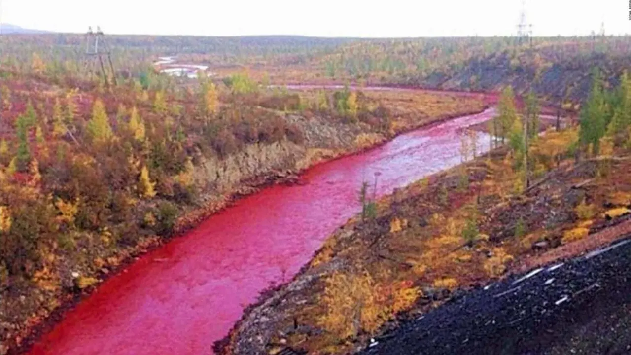 El agua del río Nilo se convirtió en sangre, pero no por la profecía biblíca,  sino por la naturaleza de un tipo de algas, que además, presagian futuras sequías. Foto: Redes Sociales