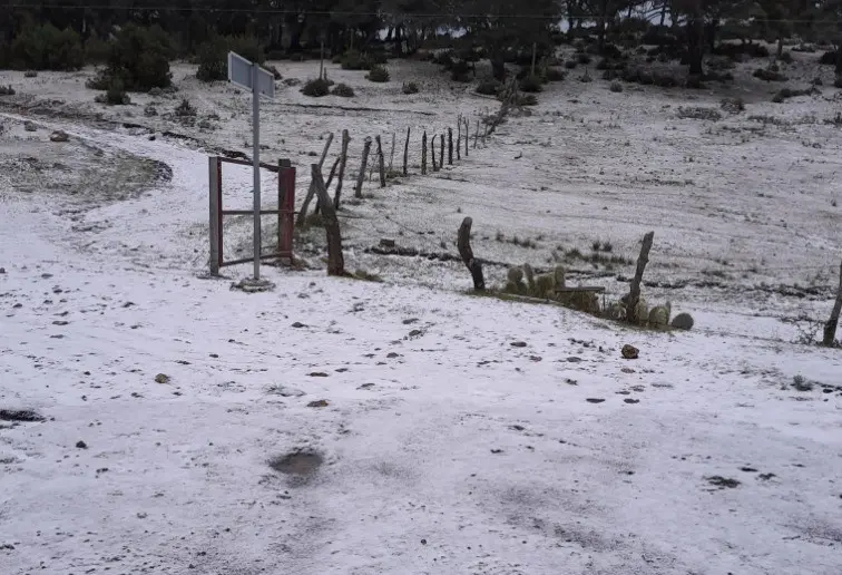 Fotografías del hecho se hicieron públicas y en las mismas se ve como las zonas donde cayó la nieve se totalmente blanco. Foto: Alejandro Rodríguez.