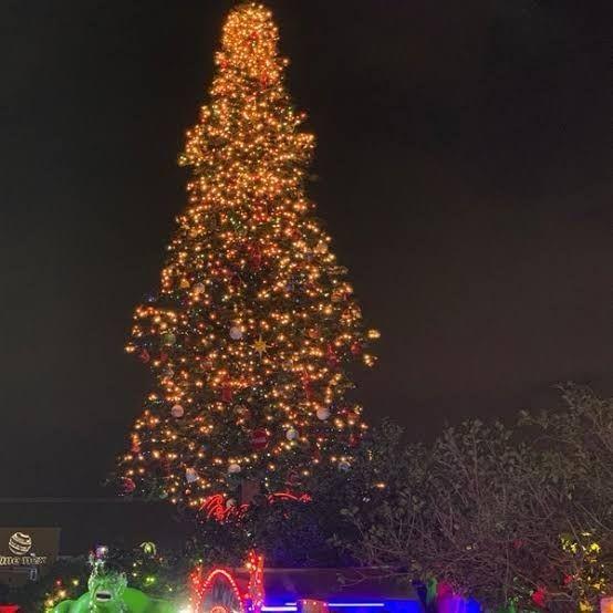 Como ya es una tradición, el el próximo 25 de noviembre se realizará en Mérida el encendido de  árbol de Navidad más grande de México