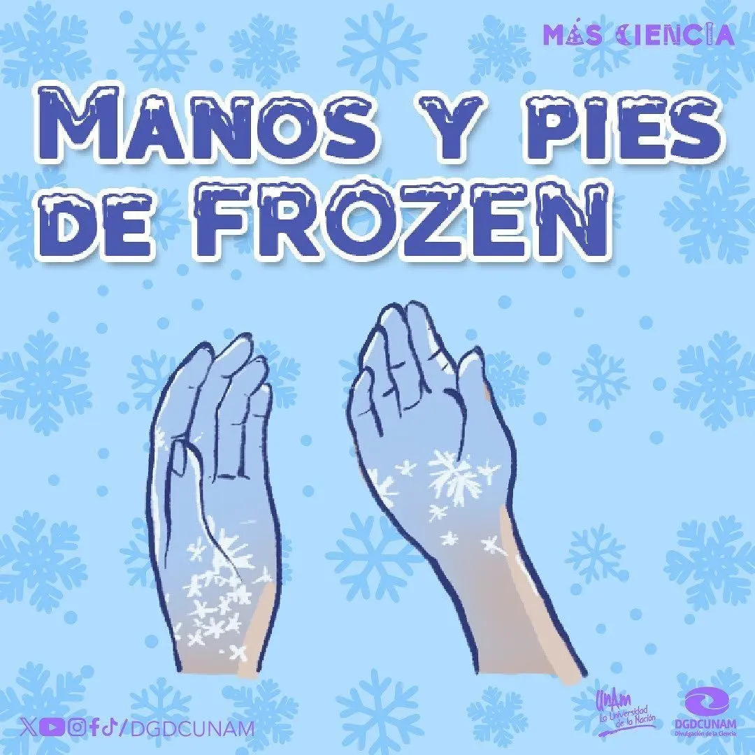 Manos y pies fríos en invierno. Foto: UNAM