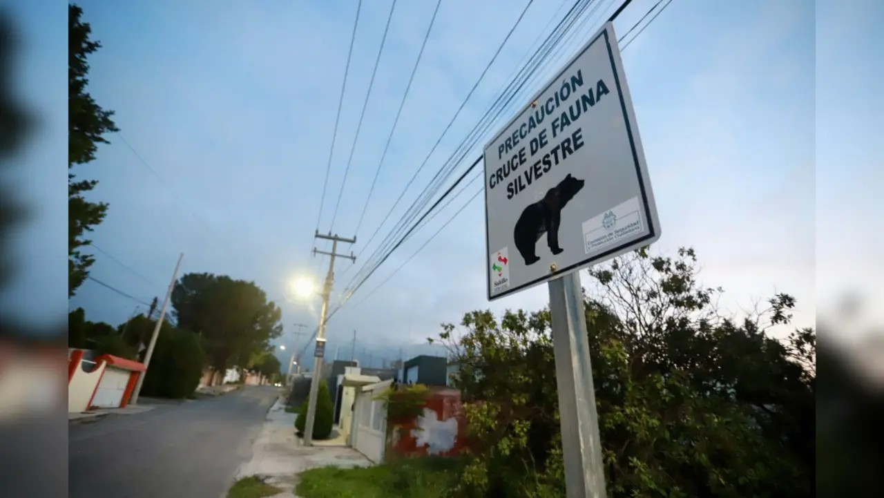 La Comisión de Seguridad y Protección Ciudadana colocó señalamientos urbanos ante avistamientos de osos en Saltillo / Foto: Gobierno Municipal de Saltillo