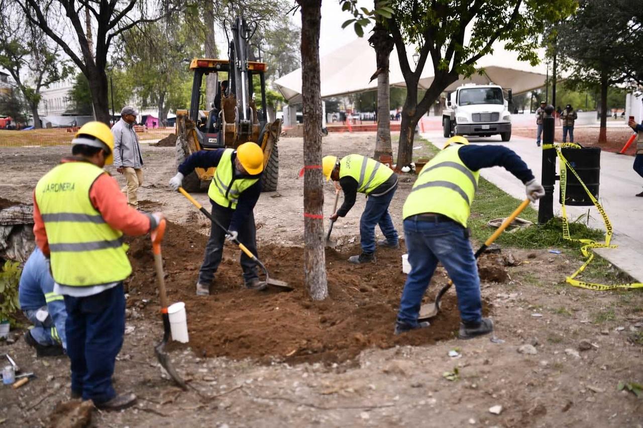 Con la plantación de los primeros 20 de 115 árboles, Brenda Sánchez Castro, resaltó que arrancan la última etapa del proceso de rescate en la primera parte de los cuadrantes de la Alameda Mariano Escobedo. Foto: Municipio de Monterrey