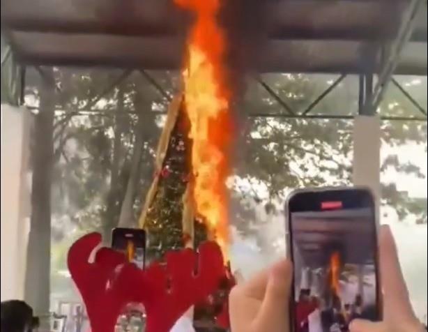 Un trabajador del plantel sofocó las llamas con un extintor, mientras los alumnos y docentes seguían capturando lo ocurrido a través de sus celulares. Foto: X @soyluisgabriel1.