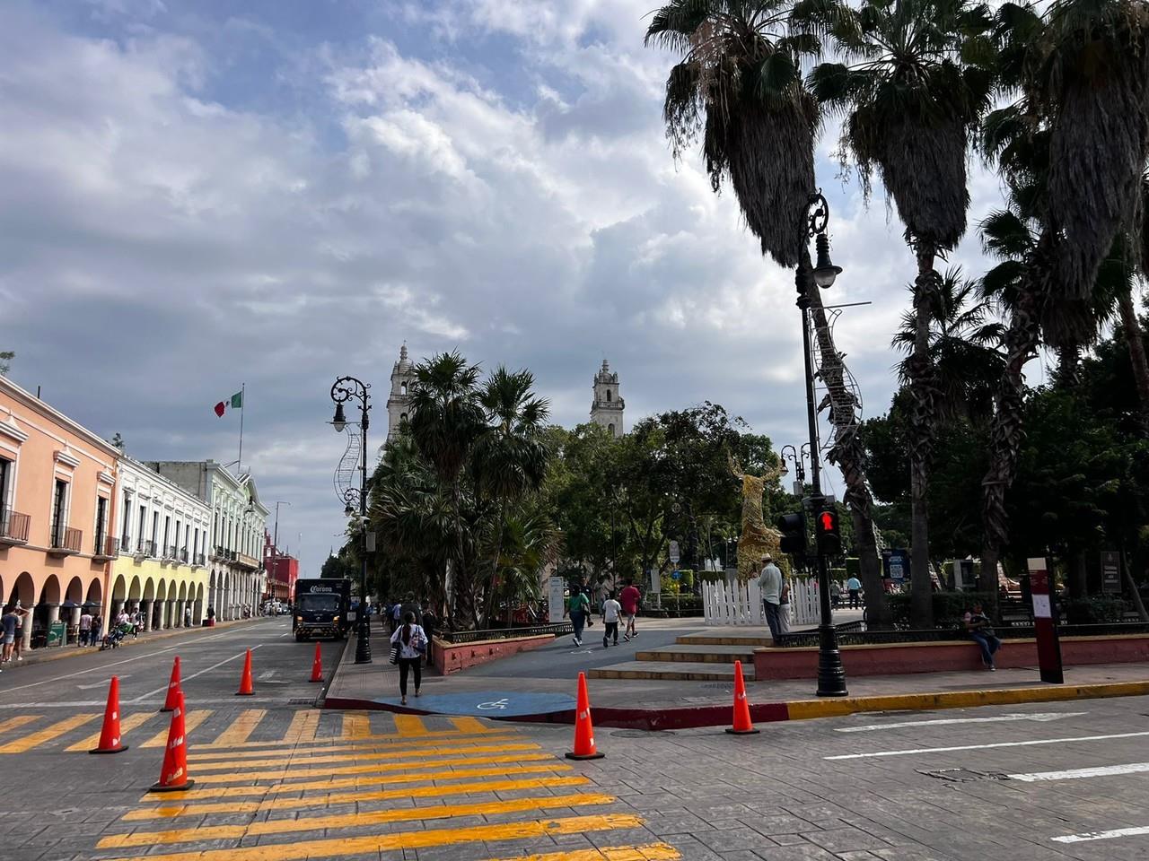 Llegada de Ook a Yucatán. Foto: Irving Gil