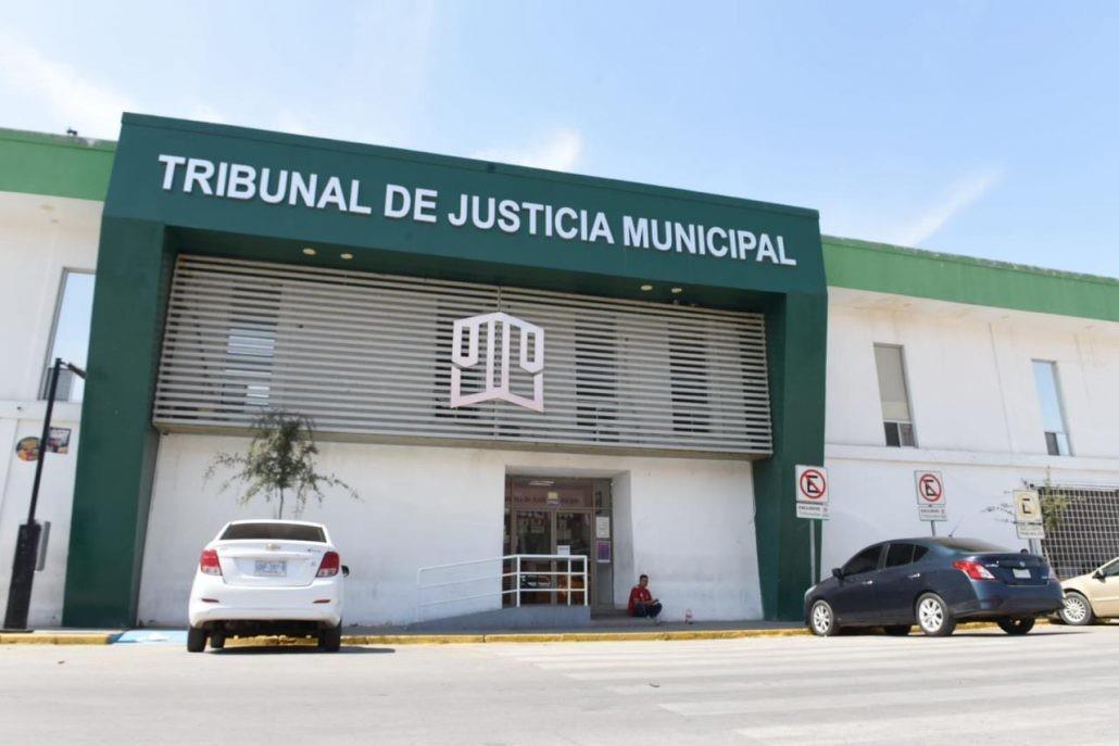 Las labores de trabajo comunitario incluyen encalar árboles, limpieza de espacios públicos y vialidades, así como áreas del propio Tribunal de Justicia Municipal. (Fotografía: Gobierno de Torreón)