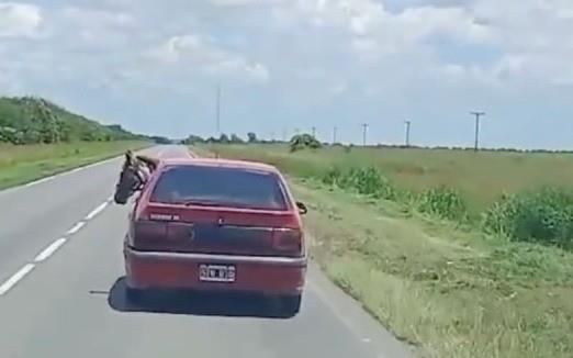 Las imágenes muestran al caballo con su cabeza asomando por una de las ventanillas del auto. Foto: X @adrianjm22.