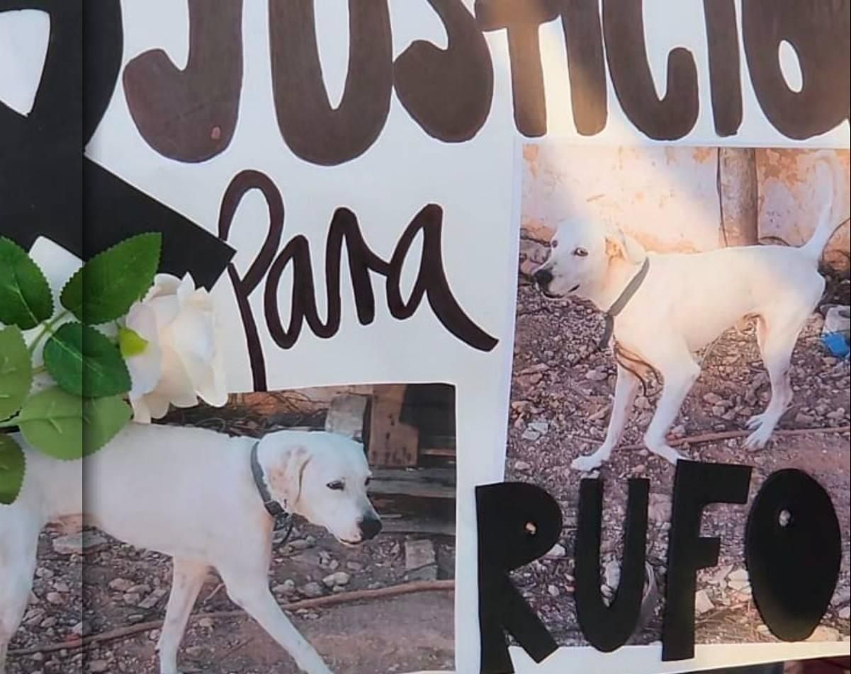 Los actos de crueldad animal que culminaron con el asesinato del perro ‘Rufo’ causaron indignación en la comunidad de Mérida Fotos: IRVING GIL