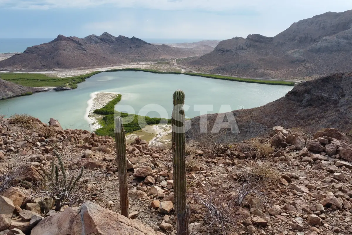 Actualizan costo para ingresar a playa Balandra. Foto: Diego Beltrán / POSTA BCS