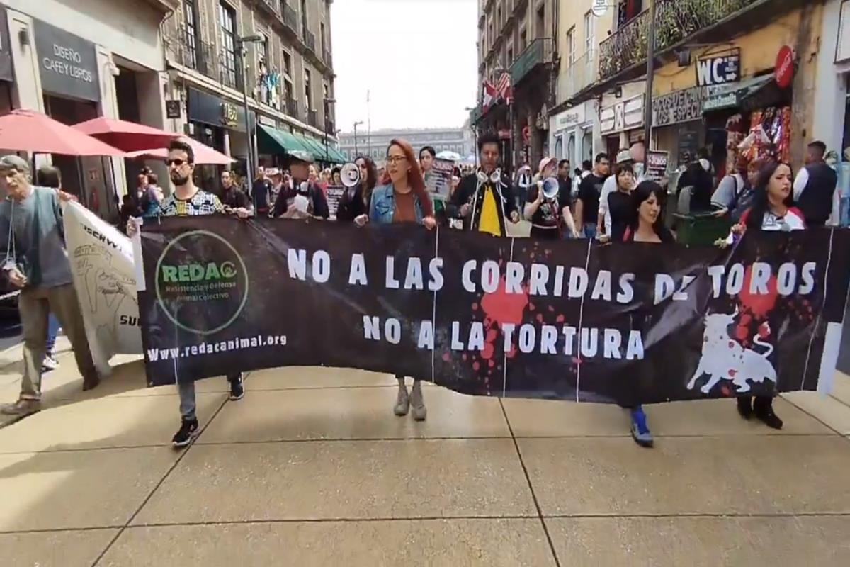 Manifestantes frente al Senado exigen la prohibición de las corridas de toros.     Foto: Especial