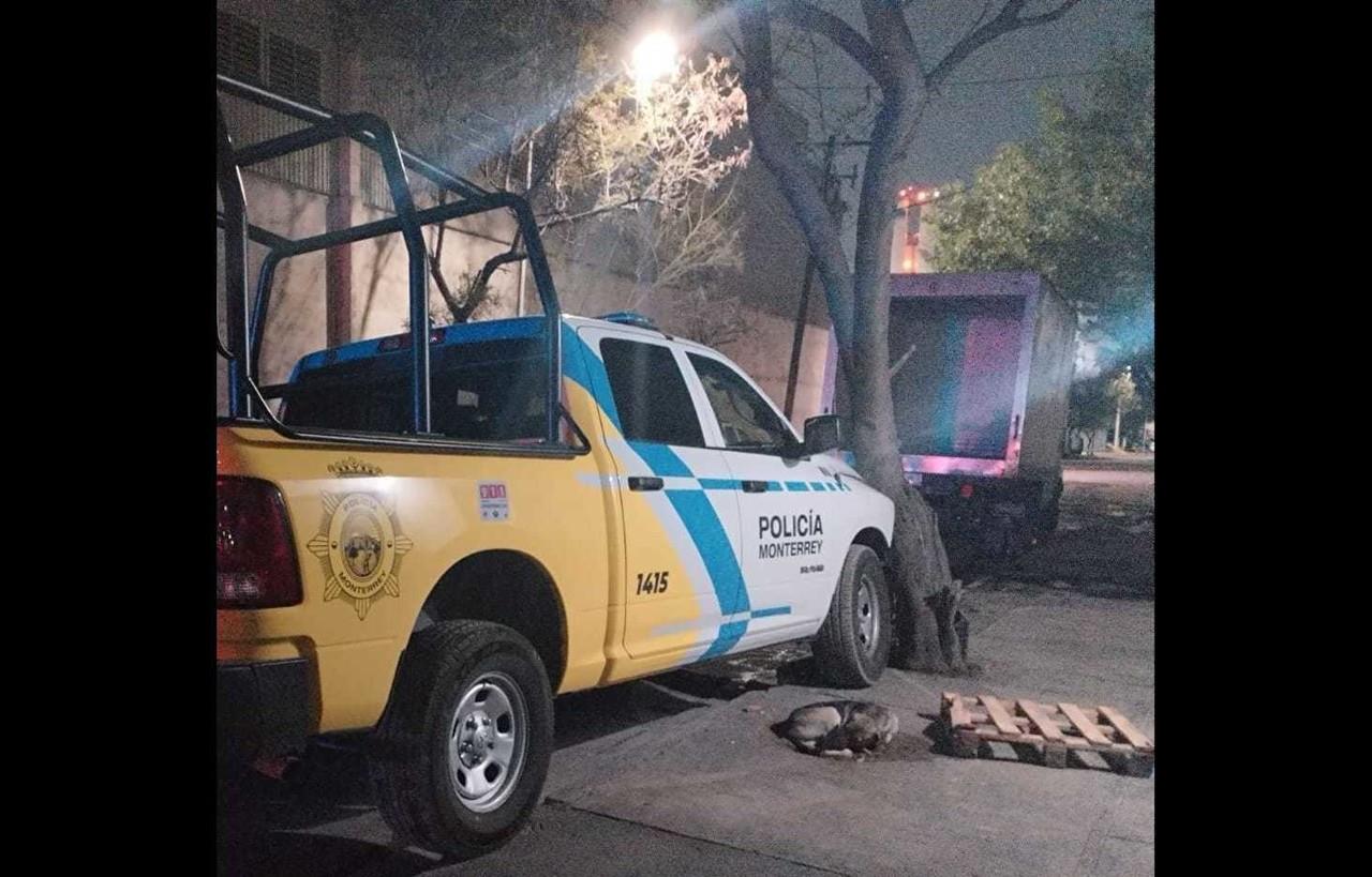 ras seguirle el paso a la unidad, finalmente fue localizada, estaba chocada contra un árbol, en la calle 2.ª avenida y la calle Profesor Garza, en la colonia Garza Cantú. Foto: Raymundo Elizalde.