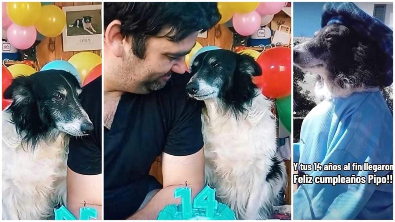 Hombre festeja cumpleaños de su perrito Pipo. Fotos. Captura