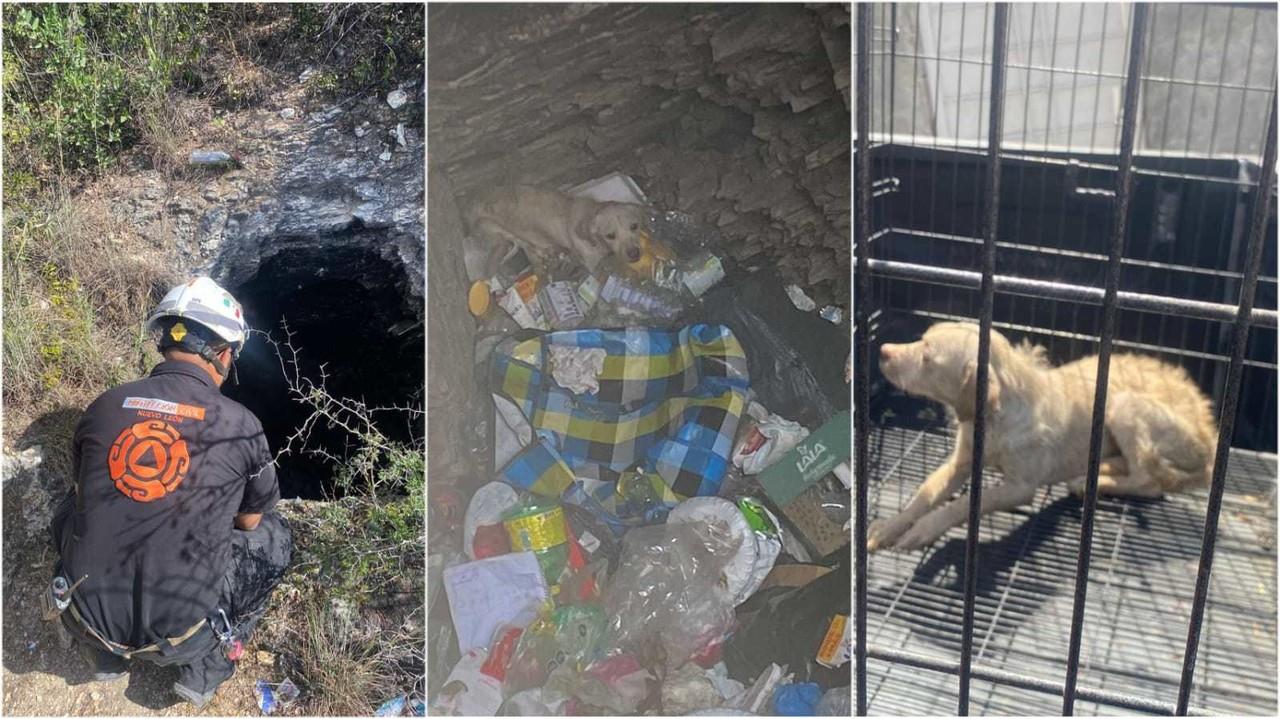 Protección Civil Nuevo León rescata a perro atrapado en pozo de basura en Monterrey. FOTO. Cortesía