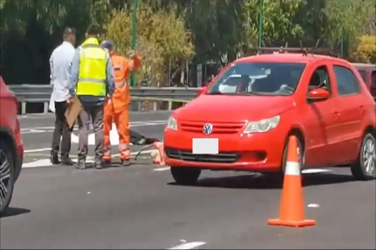 Muere ciclista atropellado en autopista México-Pachuca, surgen cuestionamientos.     Foto: Especial