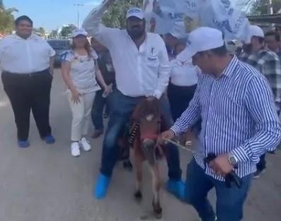 El hecho fue exhibido en redes sociales y mismo que fue condenado por utilizar un animal en sus recorridos. Foto: Redes Sociales.