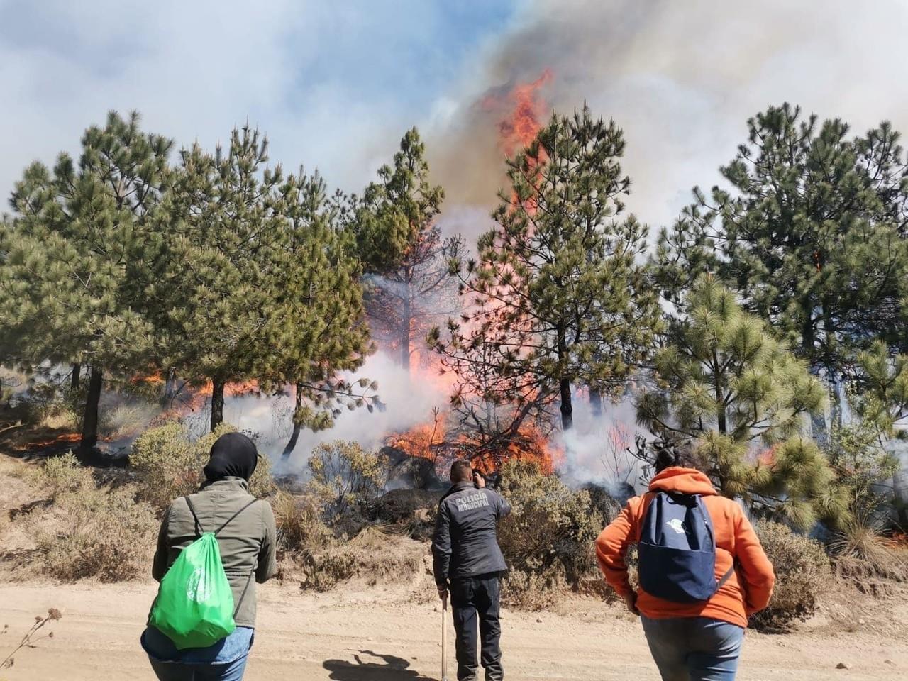 En el combate a los incendios forestales trabajan unas 800 personas, muchos de ellos voluntarios. Foto: FB Bailes Temoayenses