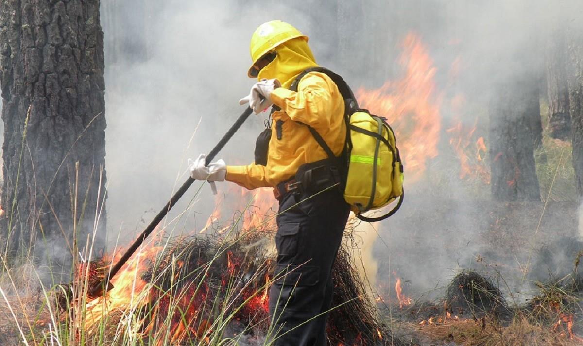 La Comisión Nacional Forestal (CONAFOR) dio a conocer que hay 29 incendios forestales liquidados. Foto: Gobierno de México