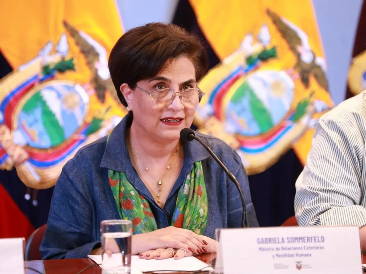 La canciller Gabriela Sommerfeld, explicó los acontecimientos ocurridos en la Embajada mexicana. Foto. Facebook