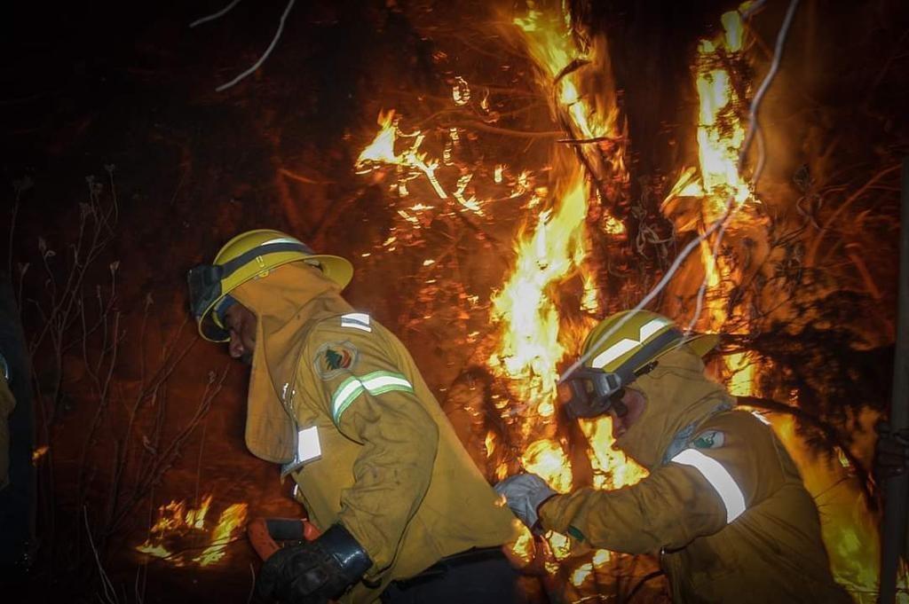 Hasta 20 años de prisión a quien provoque intencionalmente incendios forestales. Foto: @SEDEMA_CDMX