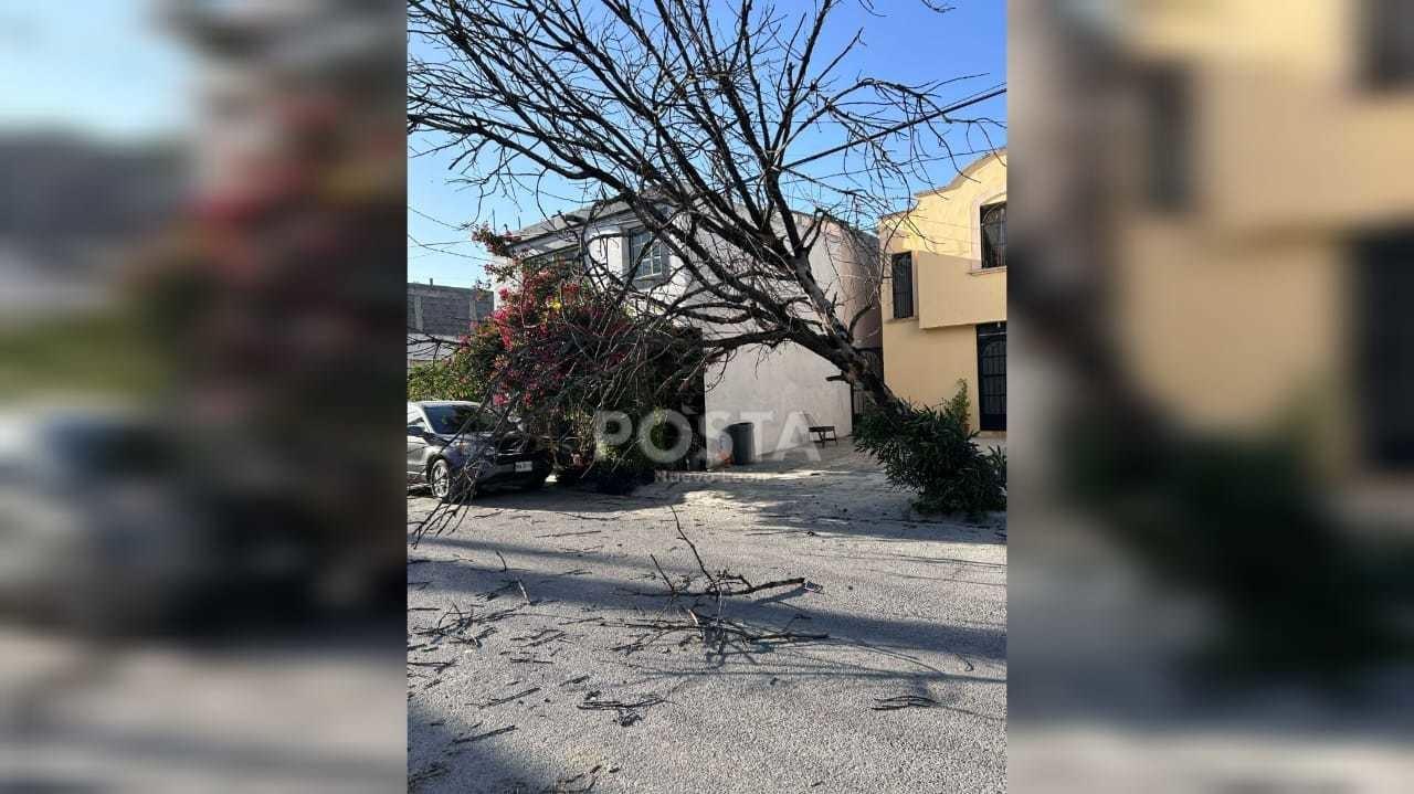 Las velocidades del viento son mayores a 20 kilómetros por hora. Foto: Rosy Sandoval