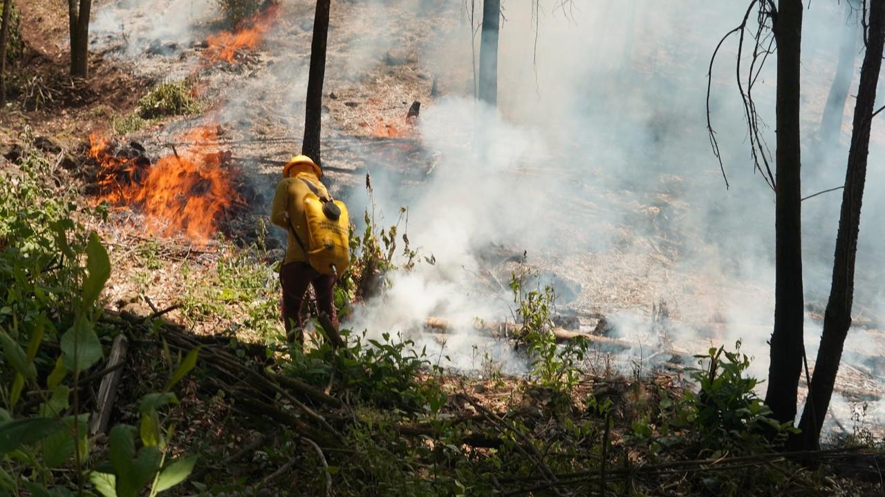 El Estado de México es una de las entidades más afectadas por incendios forestales, según la Conafor. Foto: Probosque