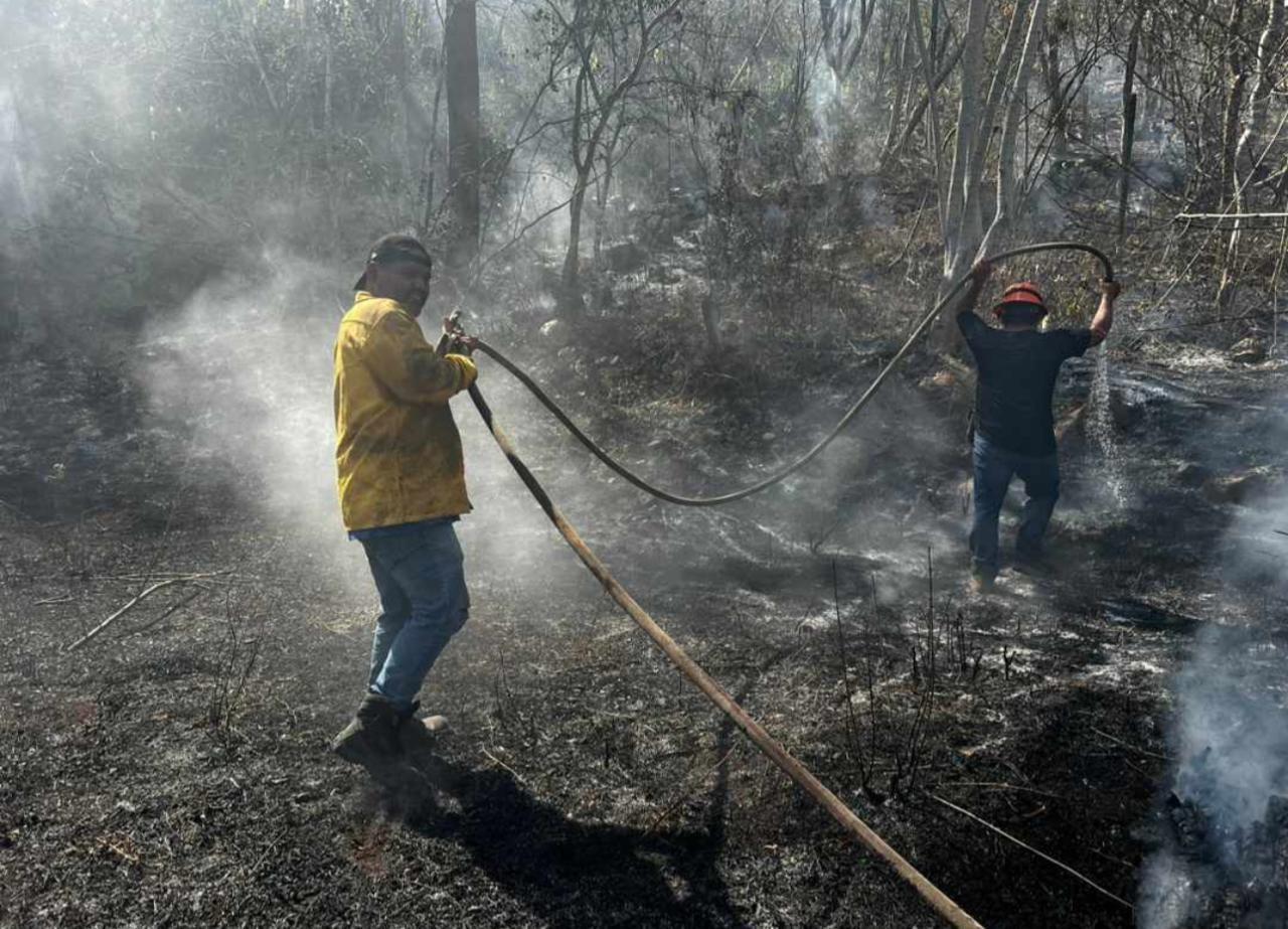 Inicia la fase más extrema del calor en Yucatán, conoce las mejores opciones para prevenir incendios. Foto: Cortesía