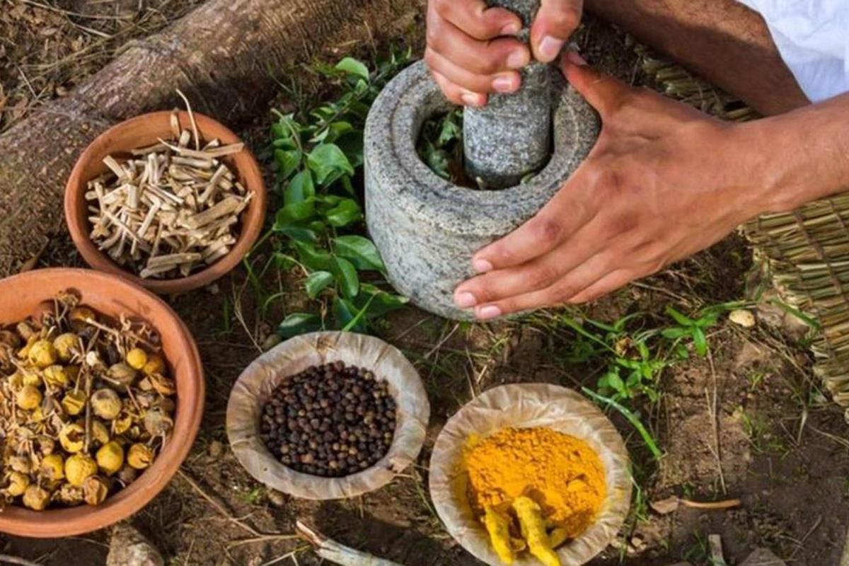 Medicina y herbolaria de los pueblos originarios. Foto: UNAM